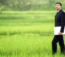 Is a Career in Environmental Management Right for You?