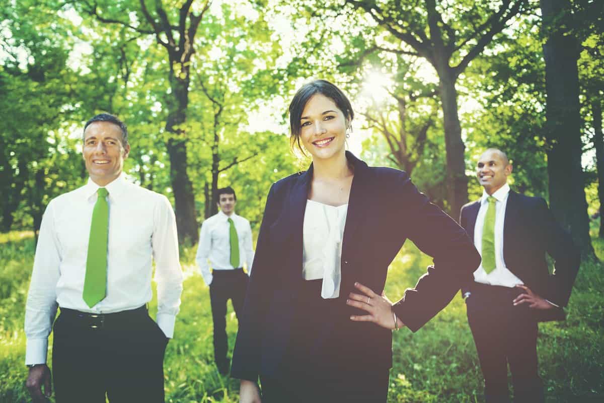 Green venture capital for sustainable business
