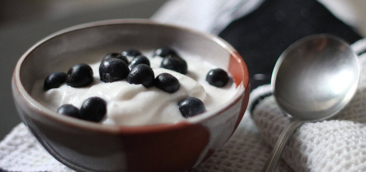 Cashew yogurt