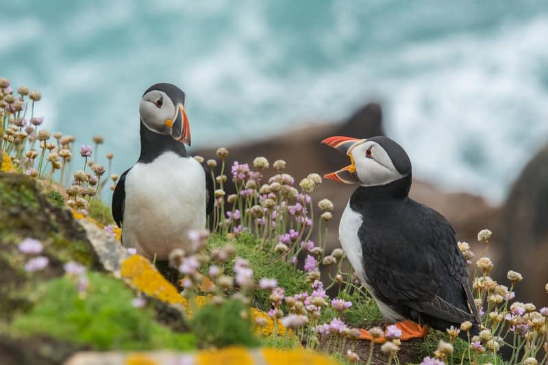 Photo by Wynand van Poortvliet on Unsplash