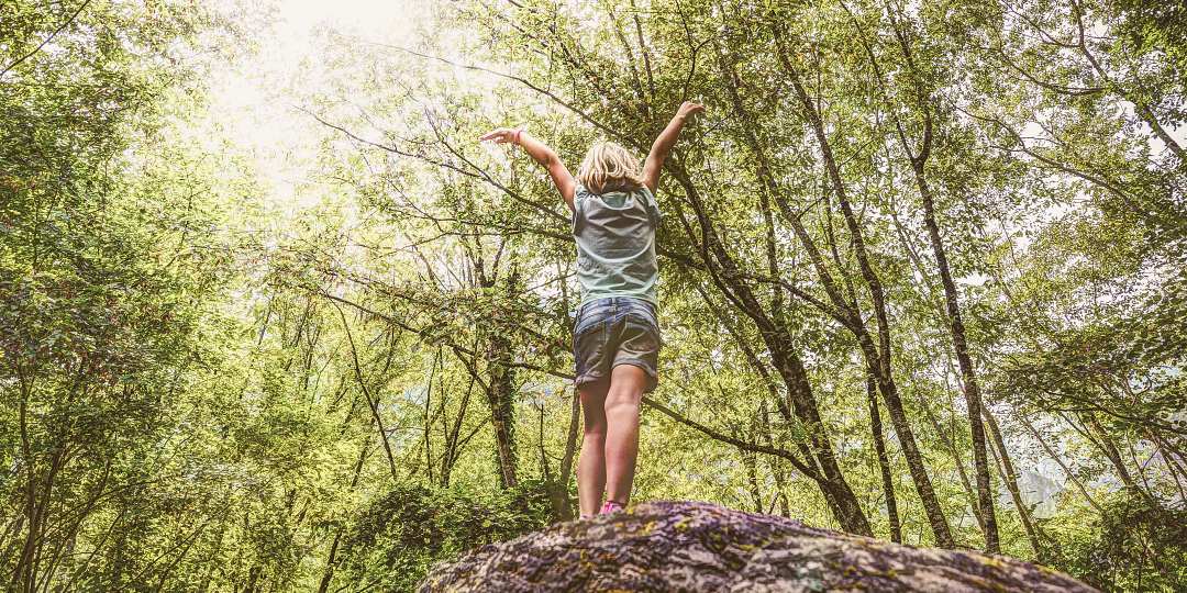 forest school environmental education