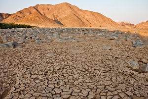 climate change, biodiversity