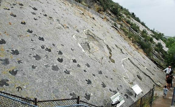 Biodiversity extinction dinosaur tracks