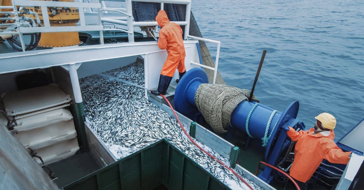 overfishing