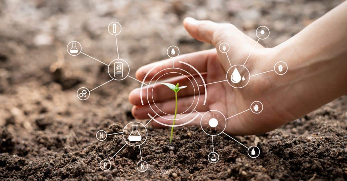 soil degradation, food scarcity, food insecurity
