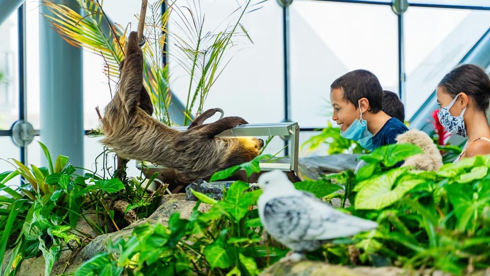 biodiversity, zoos, public education