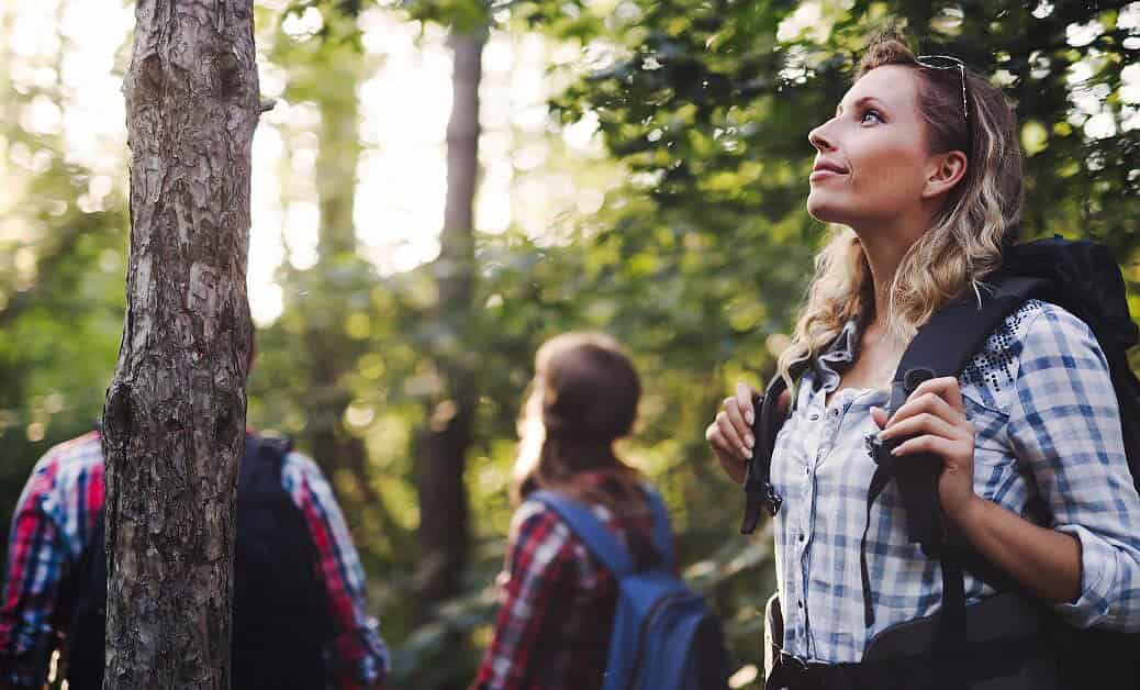 fun and educational environmental activities