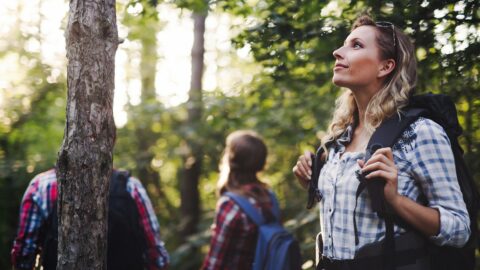 fun and educational environmental activities