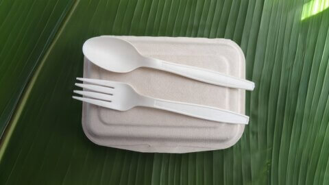 bioplastic plastic pollution solution