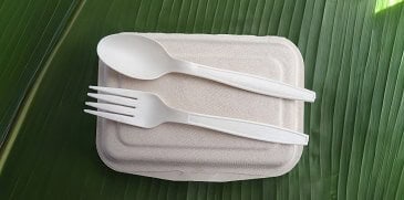 bioplastic plastic pollution solution