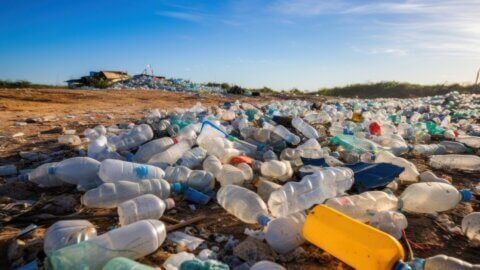 Plastic Pollution Facts, Microplastics