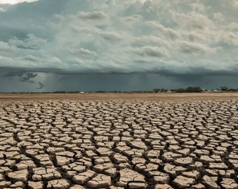 land degradation