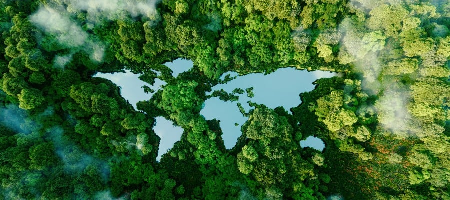 environmental news