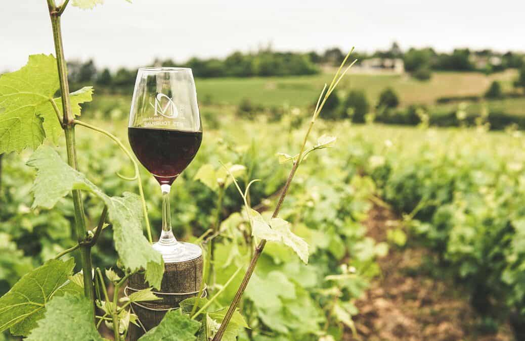 organic sustainable winery