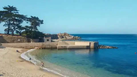 Eco-friendly Monterey Bay