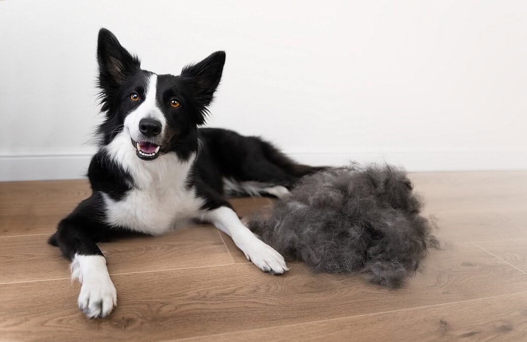 unique recycling businesses dog hair for oil spills