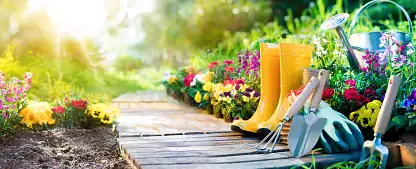 shop green home and garden products
